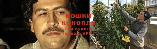МДПВ Новодвинск