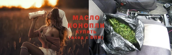 гашик Новозыбков