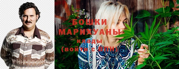 МДПВ Новодвинск