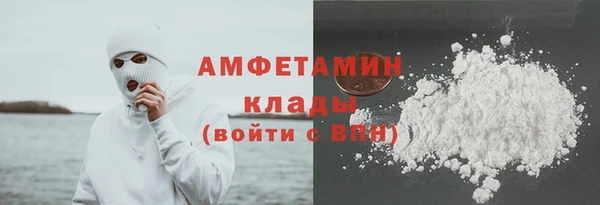 гашик Новозыбков