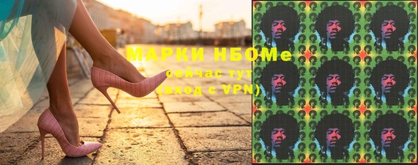 гашик Новозыбков