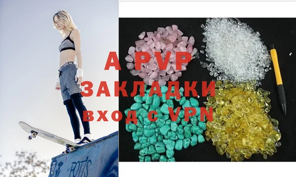 гашик Новозыбков