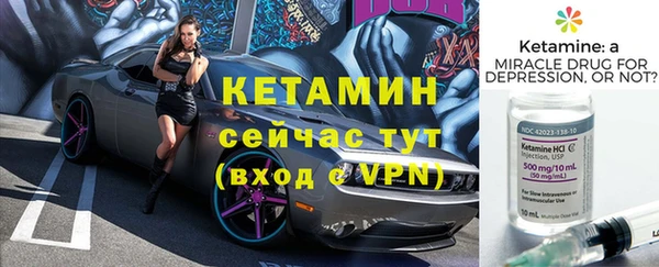гашик Новозыбков
