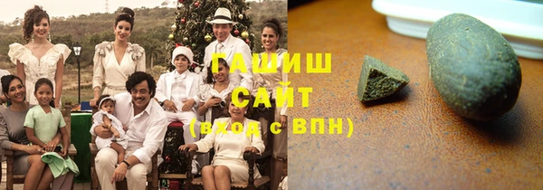гашик Новозыбков