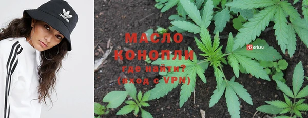 гашик Новозыбков