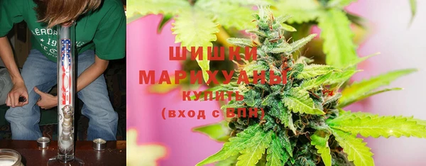 гашик Новозыбков