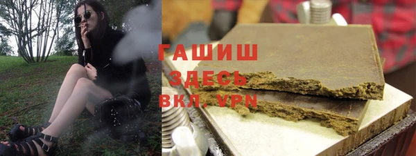 гашик Новозыбков