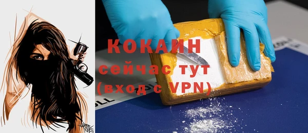 гашик Новозыбков