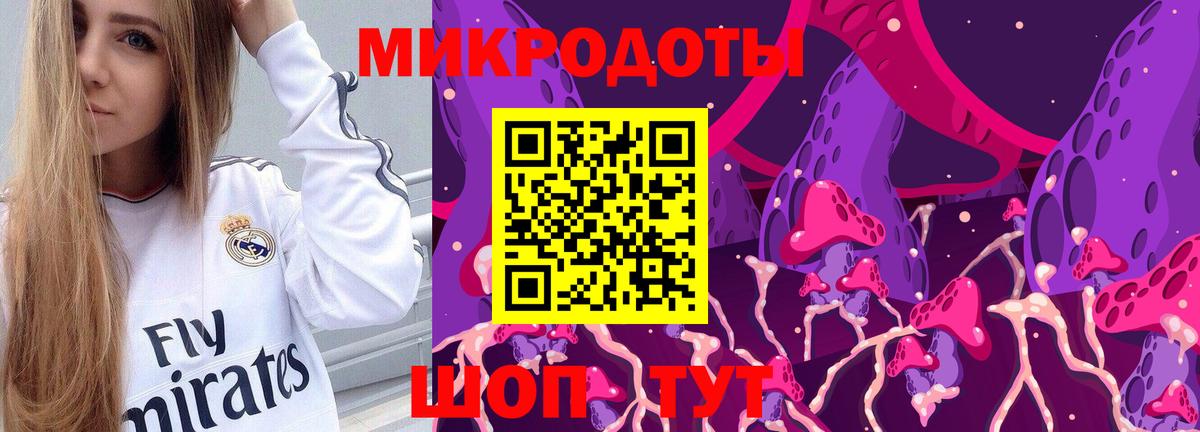 Псилоцибиновые грибы прущие грибы  Ступино 